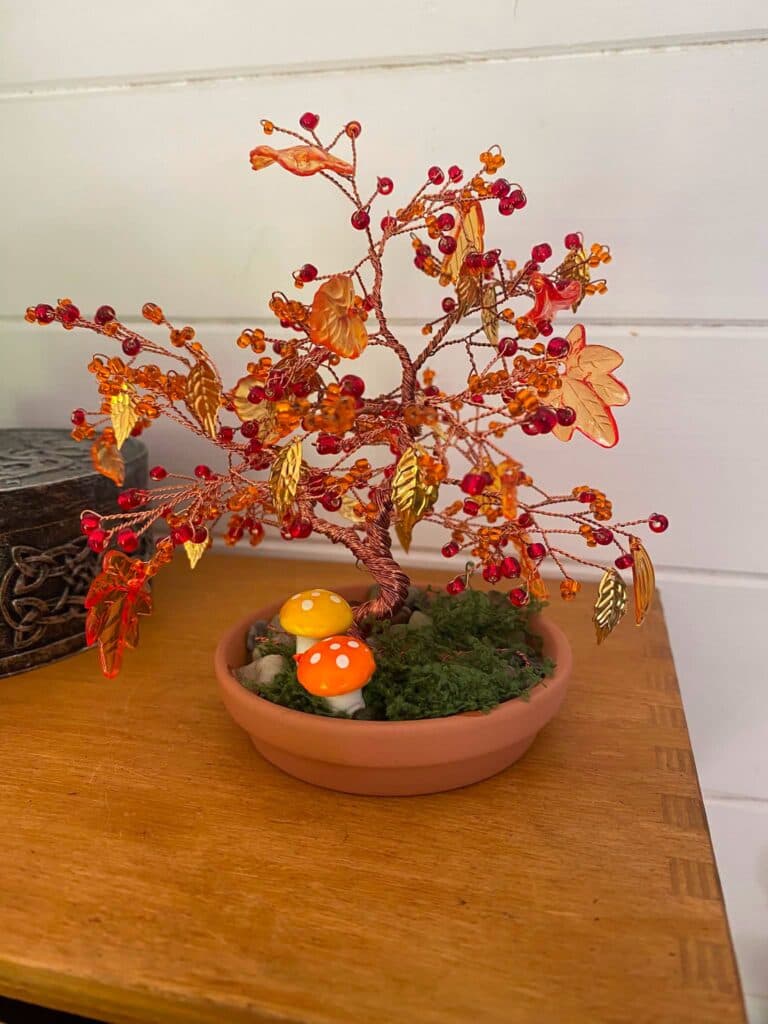 Autumn Bonsai Workshop |October Special | Beginners Welcome